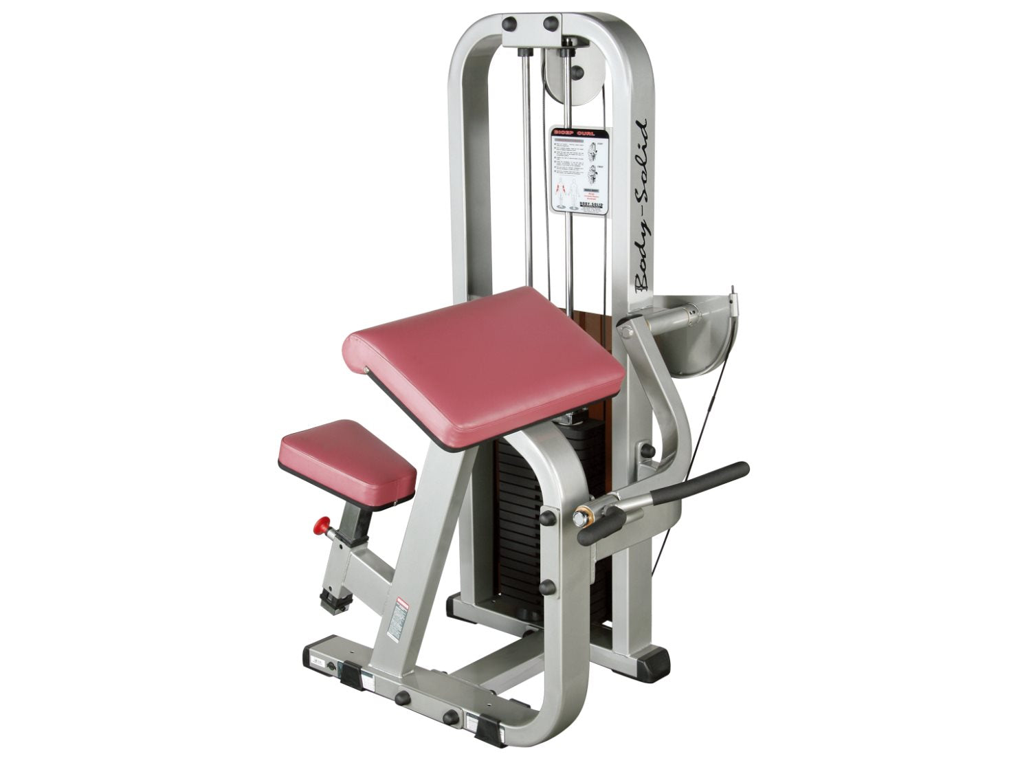 Body Solid Bicep Curl Machine SBC-600G/2 UAE - Prosportsae.com